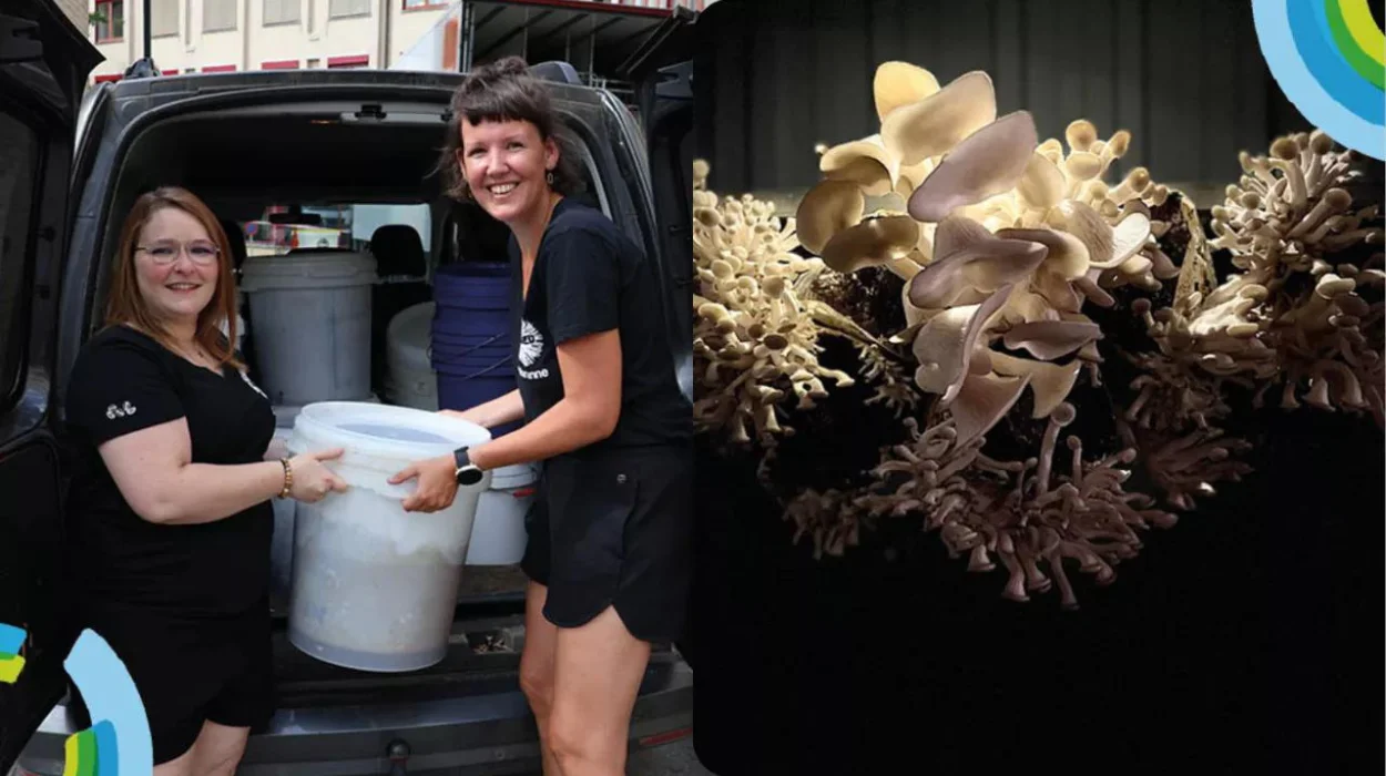 Transforming waste in Halle