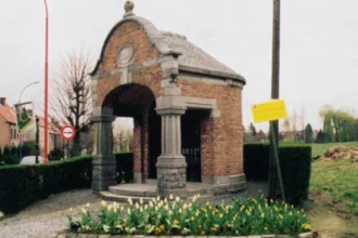 Tree blocks Spaanse Lindebaan in Grimbergen, Mayor investigates