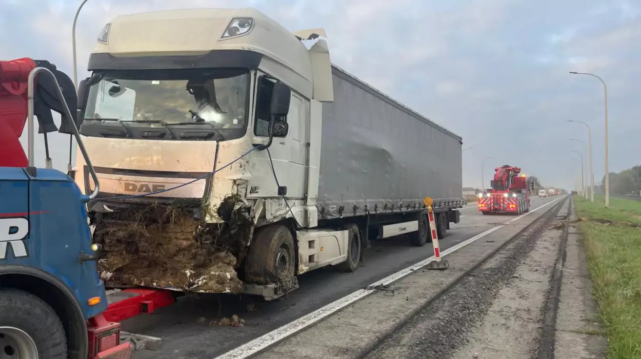 Truck crash in Ypres 60-year-old driver tests positive for alcohol