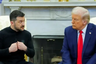 Trump Zelenskyy ready for peace talks, mineral deal