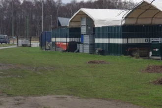 Turk Sport Antwerp not banned after Brawl, faces fines & sanctions