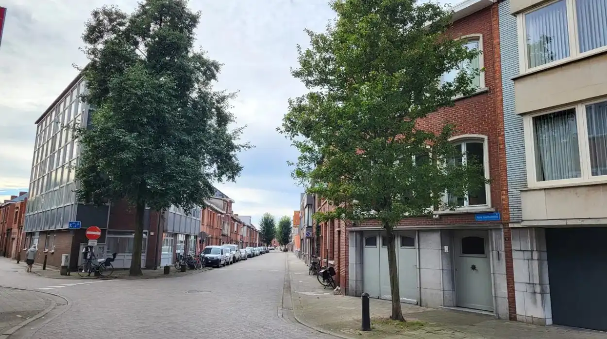 Turnhout knife attack