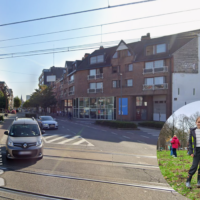 Turnhout launches urban forest with 4,125 new trees