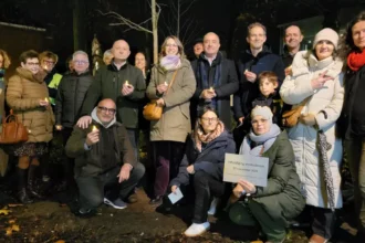 Turnhout plants peace tree A symbol of unity amid global conflicts
