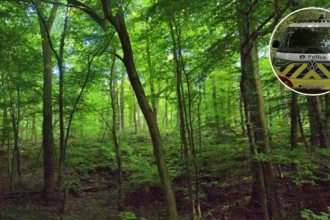 Uccle cyclist slightly injured after 10 stabs in the forest