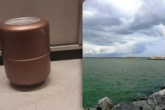 Urn discovered in Ostend Police request community assistance to find the owner