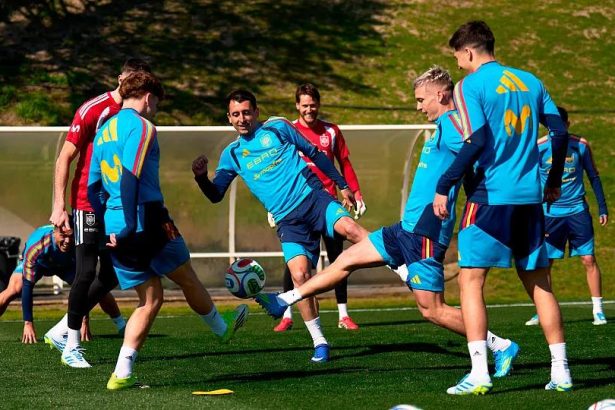 Spain national football team training before World Cup final