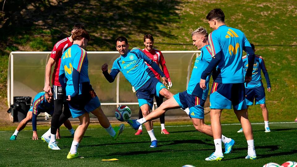 Spain national football team training before World Cup final