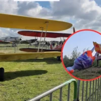 Vandalism damages De Wold Statue on Moorsele art trail