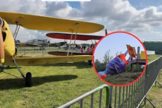 Vandalism damages De Wold Statue on Moorsele art trail