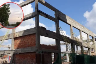 Oak tree felling in Merchtem faces appeal by Alain De Cre