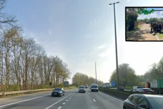 Vilvoorde green bridge reunites 2 forests split by E19