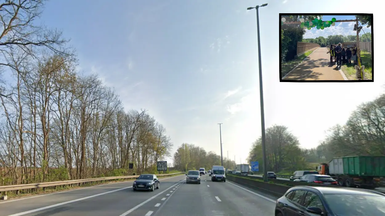 Vilvoorde green bridge reunites 2 forests split by E19