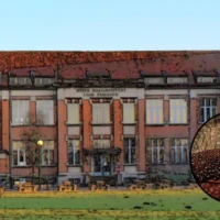 Vilvoorde students at KTA Horteco breed rare Temminck’s Tragopans