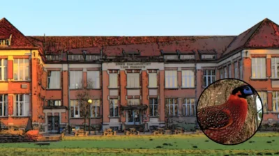 Vilvoorde students at KTA Horteco breed rare Temminck’s Tragopans