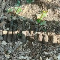 WWII grenades found by teens in Houthalen-Helchteren on Monday