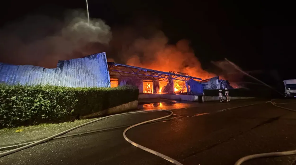 Warehouse fire in Vorst, Lusambostraat, no injuries reported 