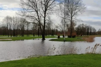 Water levels exceed safety thresholds in Hasselt