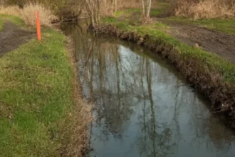 Water loss in Kampenhout stream sparks urgent call
