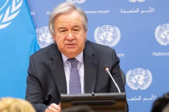 We need strong intellectual property rights for a sustainable future