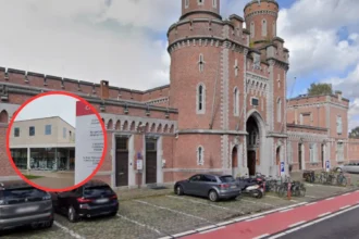 Wemmel closed library and cafeteria after bedbugs found in 4 units