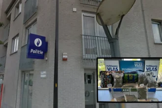 West Flanders drug network busted, 10 held, €18K seized