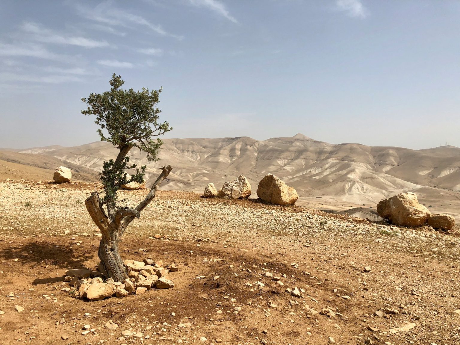 Israel settlements under construction in West Bank