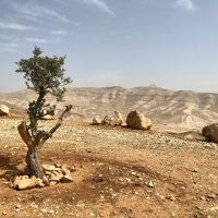 Israel settlements under construction in West Bank