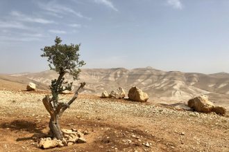 Israel settlements under construction in West Bank