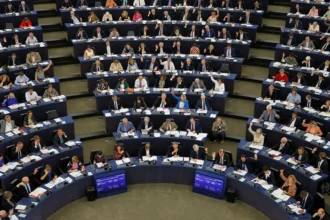 What Type of Decisions Are Taken in the Brussels European Parliament in 2025?