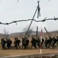 What have we seen so far from the North Koreans in the war