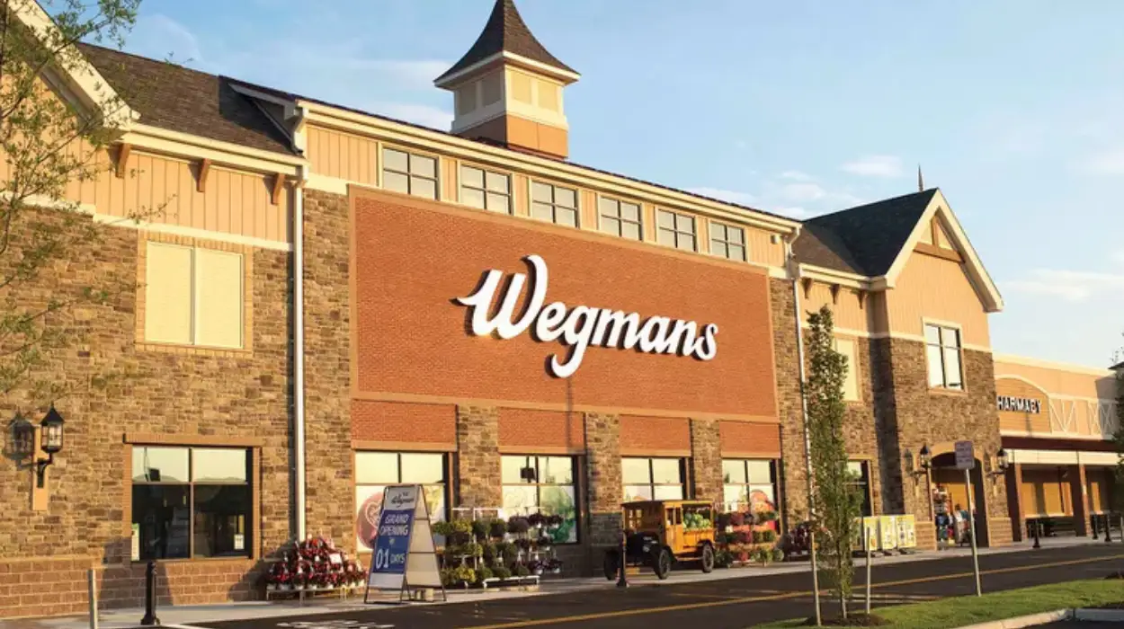 What is the reason behind Wegman's popularity