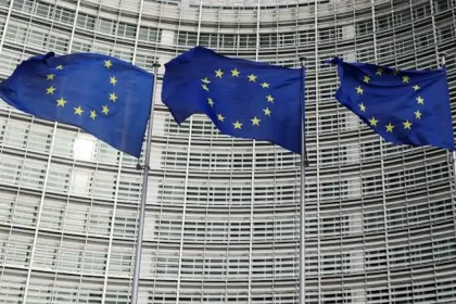 Why EU Harmonisation Needs More Flexibility
