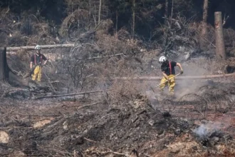 Wildfires Ignite WWII Bombs in Belgium’s High Fens