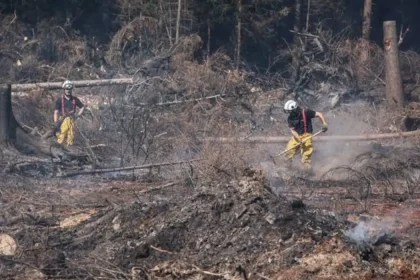 Wildfires Ignite WWII Bombs in Belgium’s High Fens