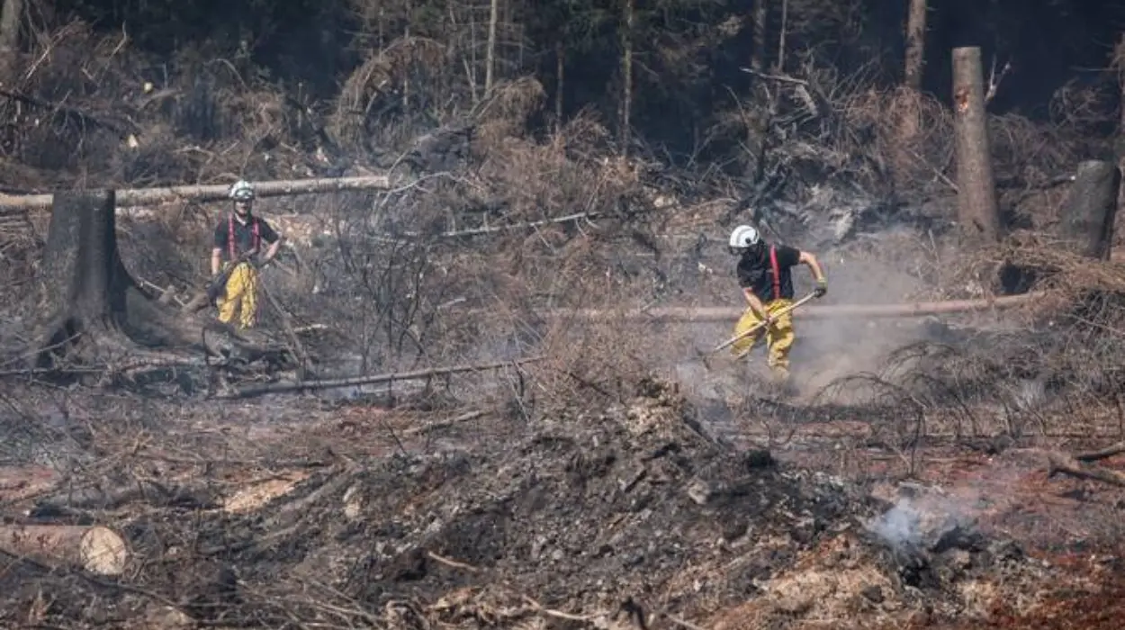 Wildfires Ignite WWII Bombs in Belgium’s High Fens