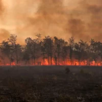 Wildfires in 2023 scorch 500,000 hectares across Europe