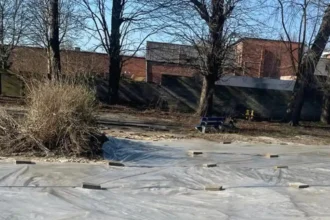 Willebroek school demolition stopped after asbestos discovery