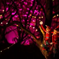 Winter magic - in lovely setting of La Hulpe