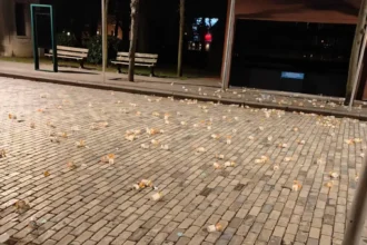 Woman smashes candles at Scherpenheuvel Basilica, Pastor regrets