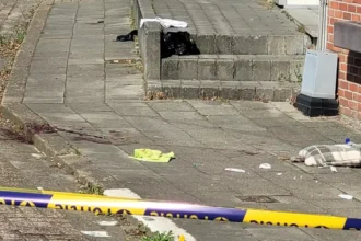 Woman stabbed in Veerle Laakdal by neighbor