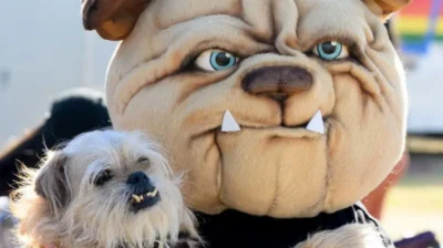 Woofstock: A Celebration of Dogs and Fun in Brussels