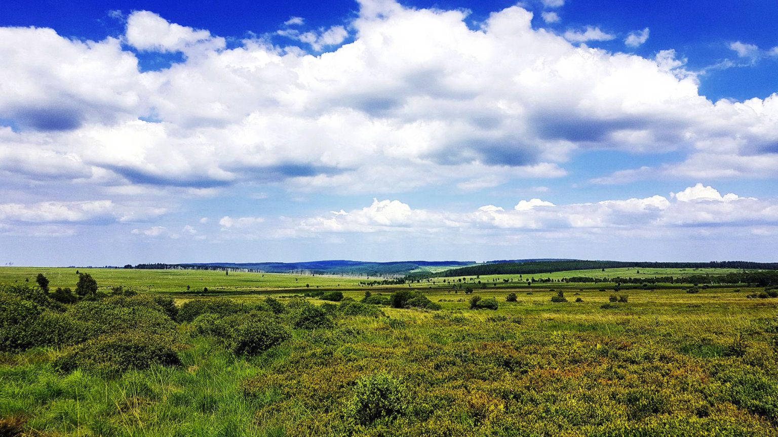 Belgium wildfire area in the High Fens nature reserve