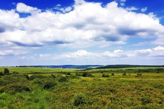 Belgium wildfire area in the High Fens nature reserve
