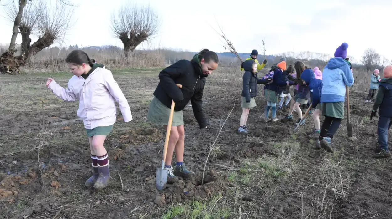 Youth plant 1,200 trees in Halle for future playgrounds