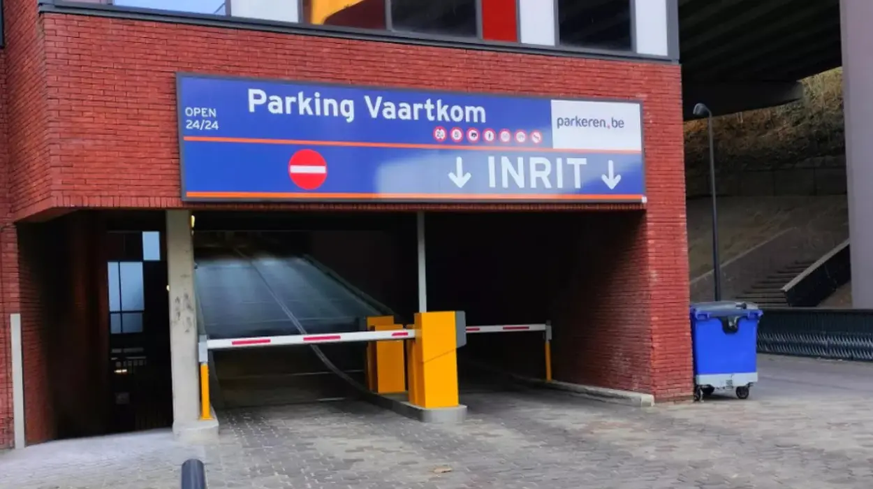 Youth worker attacked in Leuven Three gang members sentenced for violence