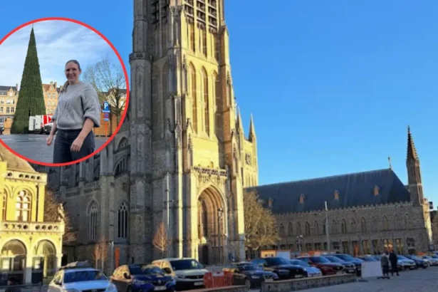 Ypres installs 21m recycled plastic Christmas tree for holidays