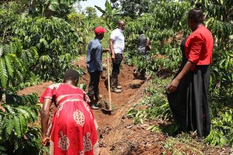 Slow Food international event promoting sustainable agriculture and biodiversity