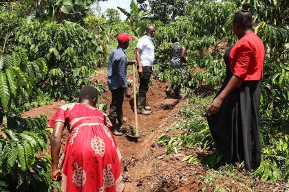 Slow Food international event promoting sustainable agriculture and biodiversity
