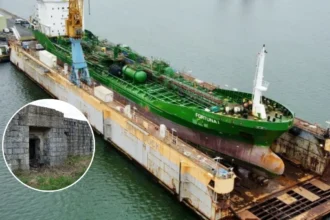 Zeebrugge bunkers renovated for Associations, Marchal confirms